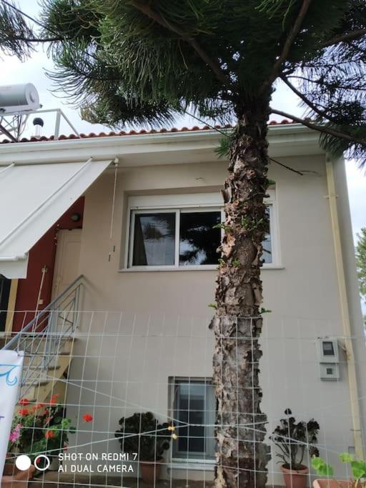 Grecos Apartment Preweza Zewnętrze zdjęcie